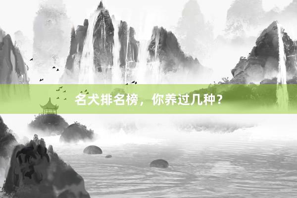 名犬排名榜，你养过几种？